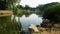 The view on the lake with the trees on the lake coast and some stones infront.