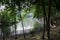 A view of the lake from under the large, shady trees