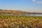 View of the lake of viverone in Italy during the autumn season