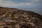 View of Lampedusa coast