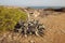 View of Lampedusa landscape