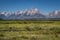 View of the land from the Cunningham cabin