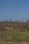 View for landscape with cut down forests after bark beetle and lookout tower