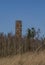 View for landscape with cut down forests after bark beetle and lookout tower