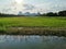 View landscape farmland and paddy rice field in farm meadow of countryside rural with canal pond and Phu Khao Ok Thalu mountain