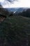 View landscape, Forest in winter on a sunny day