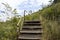 View landscape with mountain forest and wooden walkway bridge of Khao Lon Adventure for thai people and foreign traveler travel