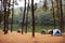 View landscape of Pang Ung pine forest and tent camping while bamboo rafts moving in Pang Oung lake or Switzerland of Thailand in