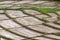 View landscape - Water in the rice field for preparing rice in Thailand