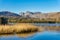 A view of the Langdale Pikes from Elterwater