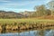 A view of The langdale Pikes with Elterwater.