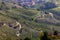 View of the Langhe-Roero hills and vineyards from Diano d\\\'Alba in Piedmont