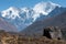 View of Langtang Valley, Langtang National Park, Rasuwa Dsitrict, Nepal