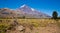 View of Lanin Volcano in National Park of Argentina