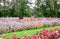 View of a large flower bed and sculpture of Venus with Cupid Kapuansky in Catherine Park of Tsarskoe Selo