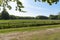 View of a large meadow with young green grass demarcated by the forest edge and a traditional fence of split tree trunks in the pa