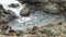 View of a Large Seal Colony