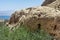 View of a large stone on a mountain amidst the beautiful unspoilt vegetation of the Ein Gedi Israel nature park. on a clear sunny