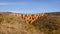 View of Las CÃ¡rcavas in Madrid, Spain. Trekking. Nature concept