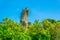 View of Latomia del paradiso in the Neapolis Archaeological Park in Syracuse, Sicily, Italy