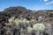 View of Lava Butte in Lava Lands at Newberry National Volcanic Monument in Central Oregon