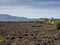 View of lava vineyards on Pico Island, Azores