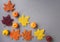 View of leaves and pumpkins decorations on gray textured background