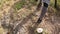 View of the legs and boots of a hiker. A tourist walks along a mountain path. Back view. Beautiful summer mountain landscape.