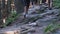 View of Legs of Group Tourists Climbing Up Along Stone Trail in Mountain Forest