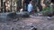 View of Legs of Group Tourists Climbing Up Along Stone Trail in Mountain Forest