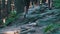 View of Legs of Group Tourists Climbing Up Along Stone Trail in Mountain Forest