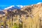 View of Leh Palace and Namgyal Tsemo Monastery