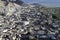 A view of LEh town from the Palacee