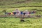 View of a Lesotho village