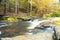 View of Letchworth State Park from Archery Point during autumn season within  colorful leaves on the trees