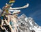 View of Lhotse peak with prayer flags