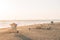 View of lifeguard stands on the beach at sunset, in Huntington Beach, Orange County, California