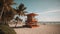 View of lifeguard tower and palm trees