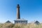 View of the lighthouse of Skagen and sand dunes with grasses in the foreground