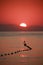 View of the line of buoys at sunrise, close-up. Mediterranean Sea. Kemer, Turkey