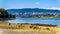 View of the Lions Gate Bridge in Vancouver, BC, Canada