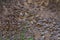 View of liquefied cow dung stored at a place used for producing natural gas for cooking close up.