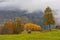 View of a little shack with a line of yellow trees in the background in autumn. The effects of Vaia storm in the background