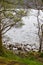 View of Loch Ness through a treelined pebble beach