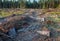 View of logs of felled trees