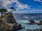 View of the Lone Cypress tree on the 17 mile drive in Monterey, California with turquoise ocean waves