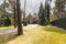 A view of a long paved driveway with grass, trees and evergreens