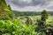 View looking of lush green summer Japan countryside with rice paddy fields