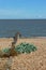 A view looking out at the wind farm off the Kent coast at Tankerton