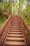 a view, looking up for the top of a long wooden ladder located in a forest. Part of a hiking trail and used to connect viewpoints